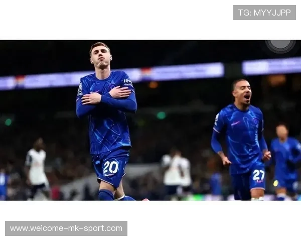 切尔西准备买下南美拦截大师，提升防线实力