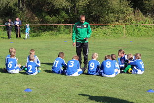 mk sports 体育-新加坡队在国际乒联混合团体世界杯的战术执行力与技术突破，乒乓 新加坡